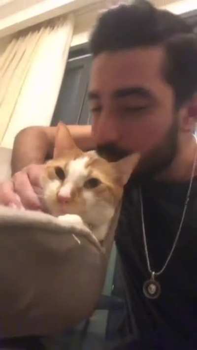 What a lovely cat
