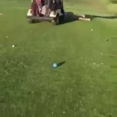 Play fast or die slow