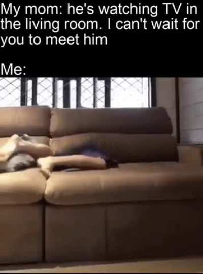 Adios