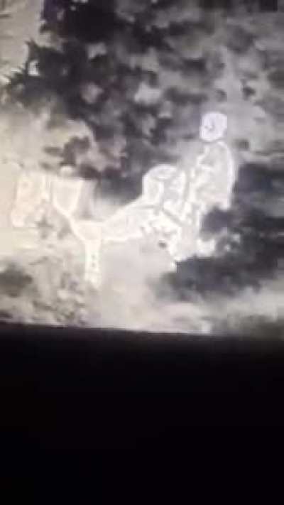 TIP: Don't fuck donkey near the military base