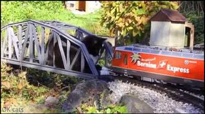 Wunker almost gets completely atomized by oncoming speeding train!!!!