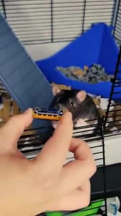 So cute.