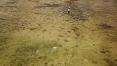 Bonefishing in the Caribbean