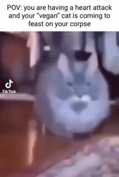 Idk