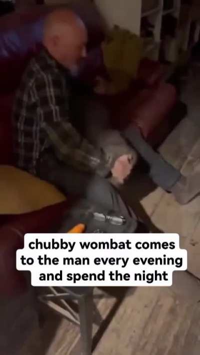 Wombat daddy