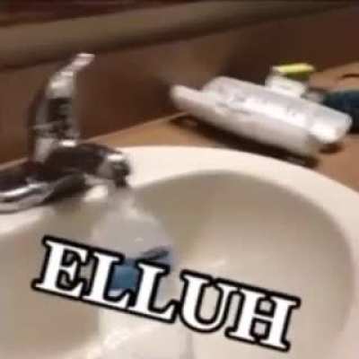 ELLA does not give a single fuck.