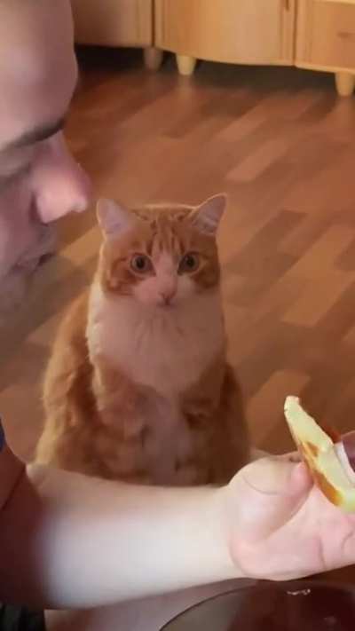 The 