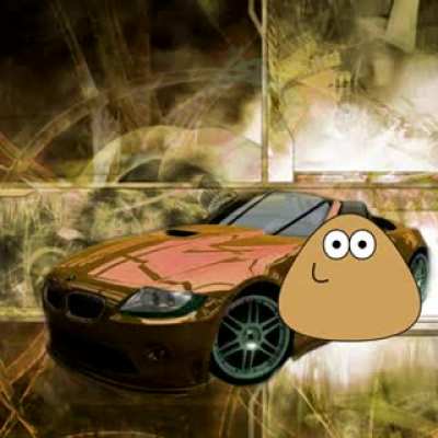 Coche pou