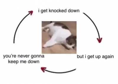 Always get back up again.