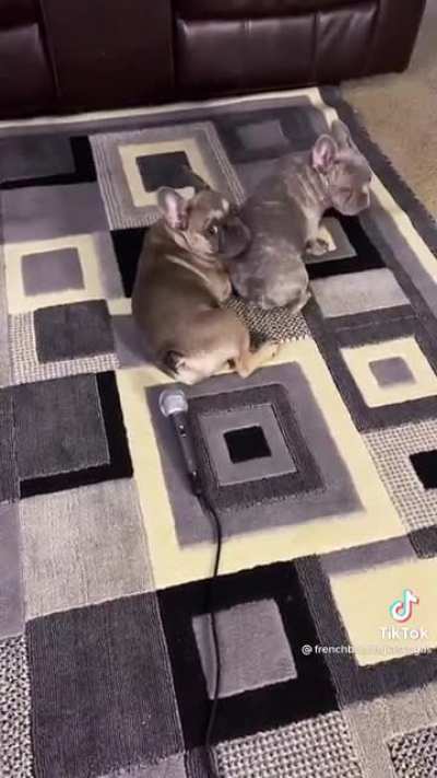 WTF was that?!?