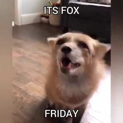 fox friday rule