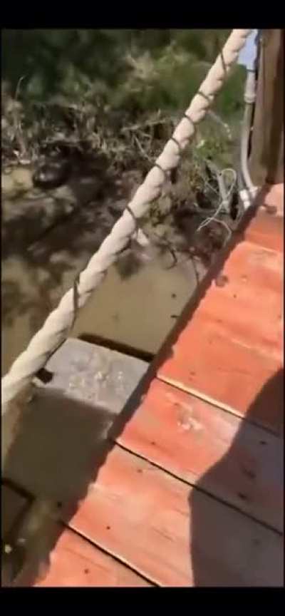 To cross the bridge