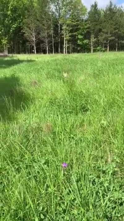 Phew... that was close!
