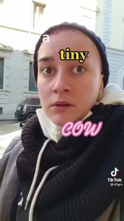 It's a ✨tiny cow✨