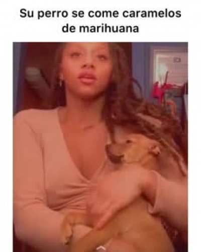 snoop dog