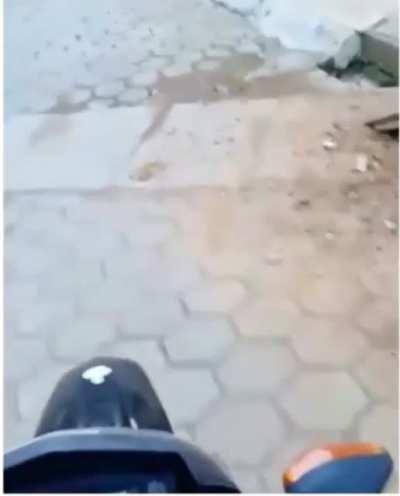 Hmmmm pão de alho