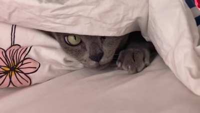 I'm scared to see what else is under there