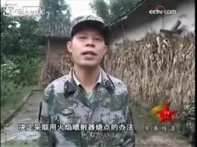 Most intense PLA engagement