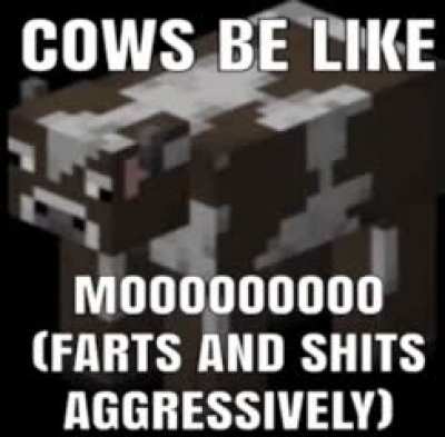 Rule