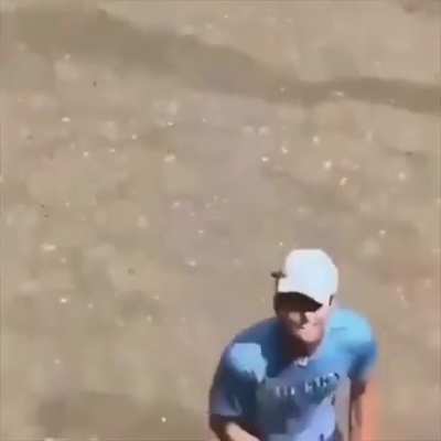 Nice throw