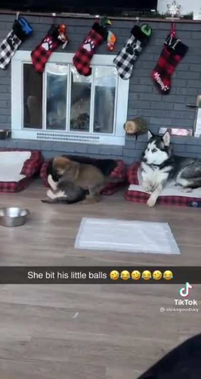 Poor guy