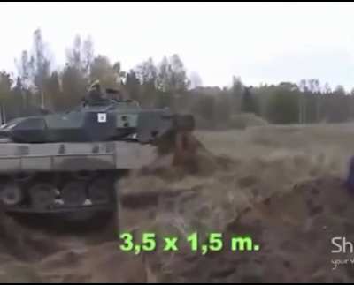 Tanks are wild
