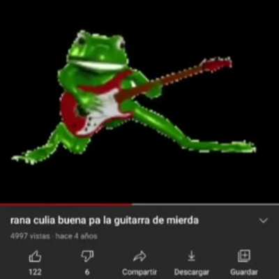 Rana culia buena pa la guitarra 🎸