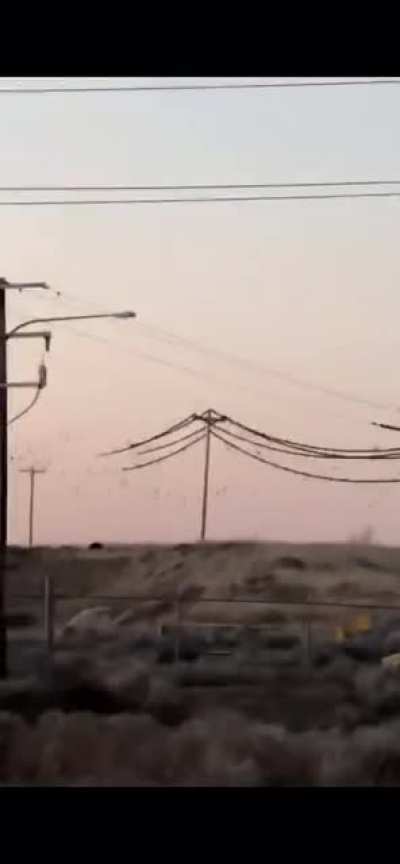 Birds cause power line arc.