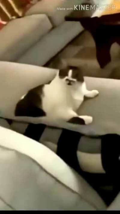 Super lick