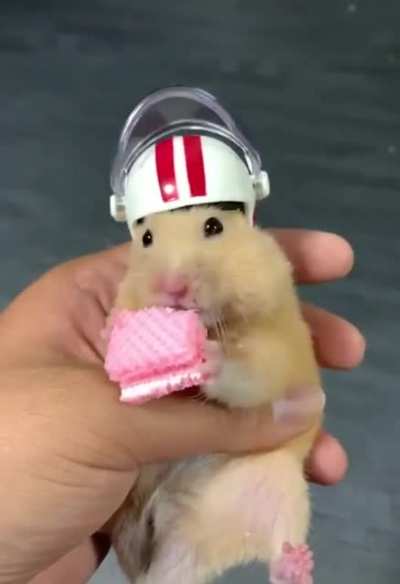 safety first