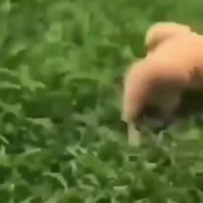Me coming across people I knew from previous subs in r/Superstonk