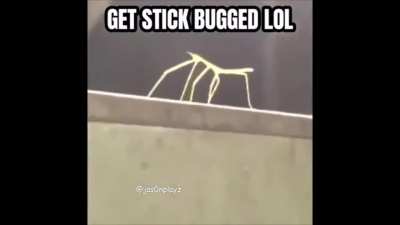lol