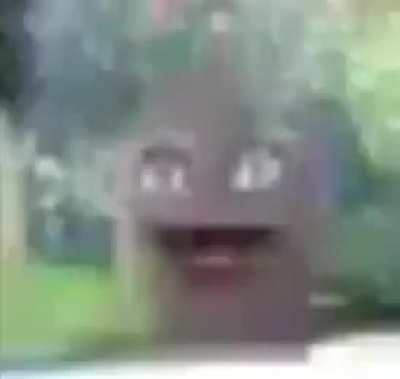 Orang