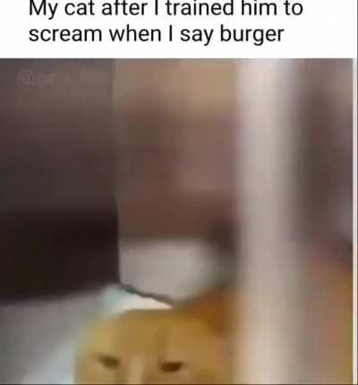 AGRESIVE
