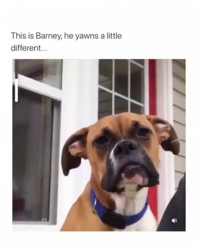 What the