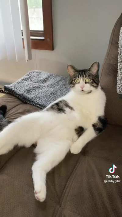 He high