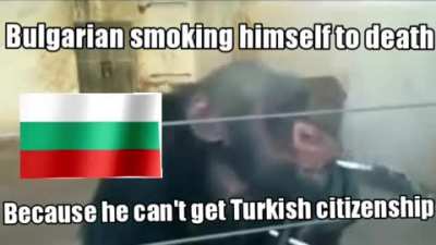 Stupit mongolo🤣🤣