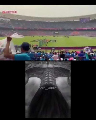 L crowd vs W crowd 
