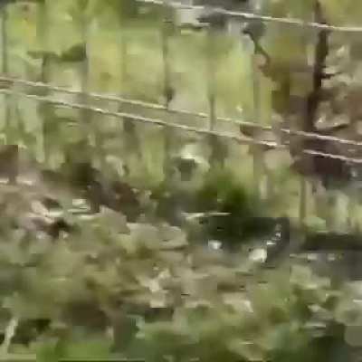 Bird is having none of his shit