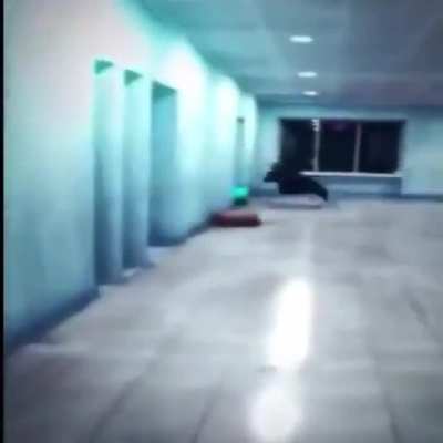 Half Life