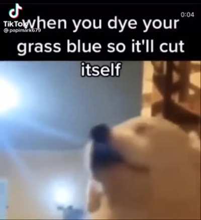 Based