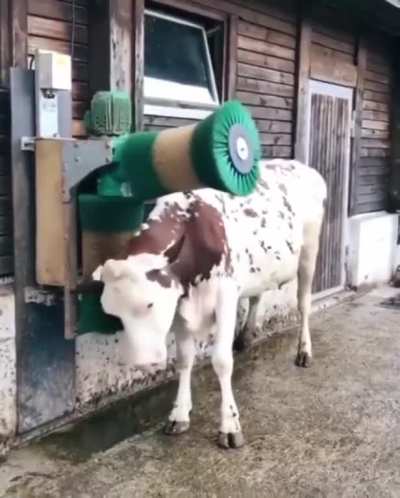 Oh that happy little hop at the end!