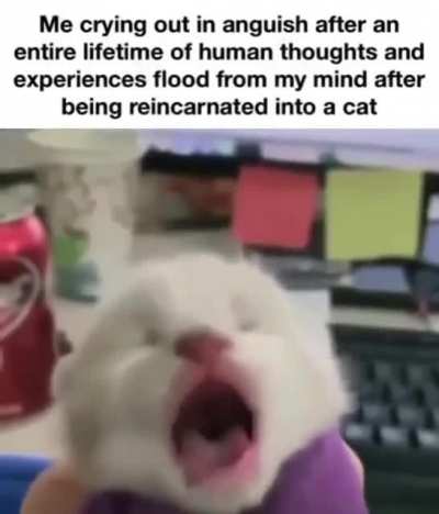 not again…