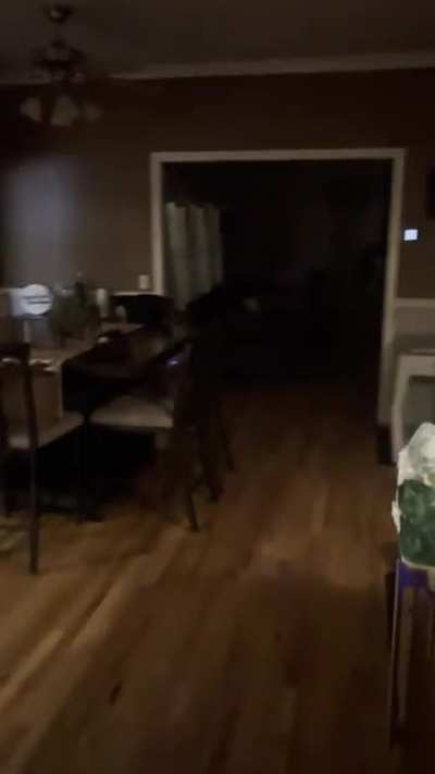 My brother walking downstairs to his dog, who isn’t allowed on the couch