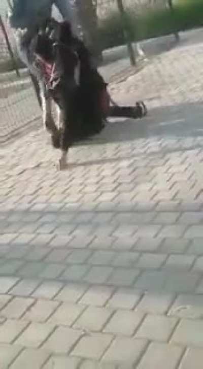 Он шо ябану<wbr>тый
