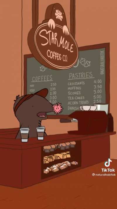 StarMole Coffee