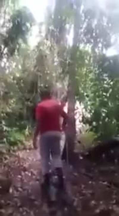 Caçando uma onça