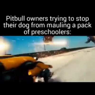 Pitbull
