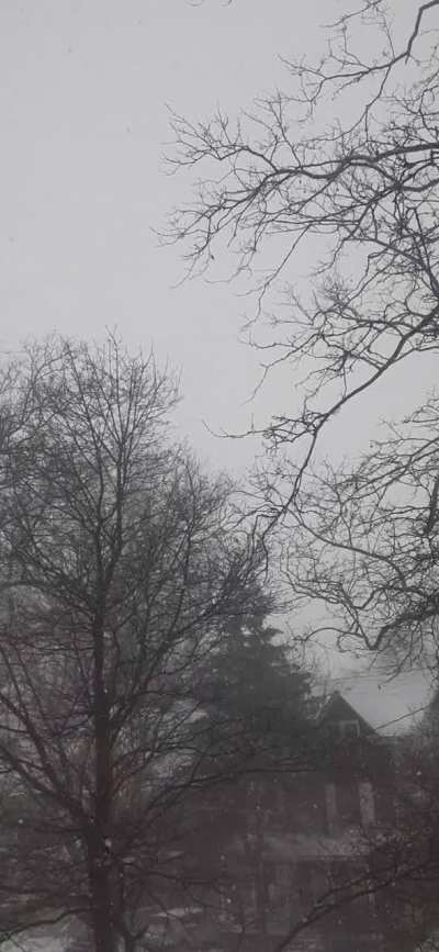Heavy solo snow Squall this morning.❄❄❄💨💨💨