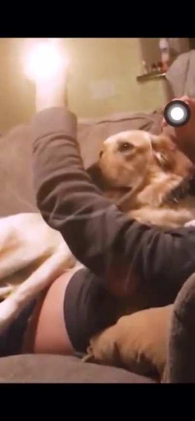 A man launching a nuclear missile on a dog.